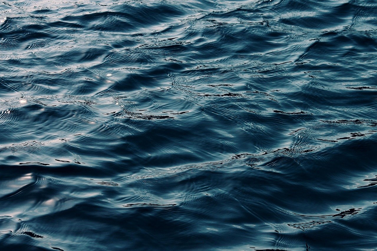 욕실청소솔 어떤 게 진짜 잘 닦일까? 2 욕실청소솔 어떤 게 진짜 잘 닦일까