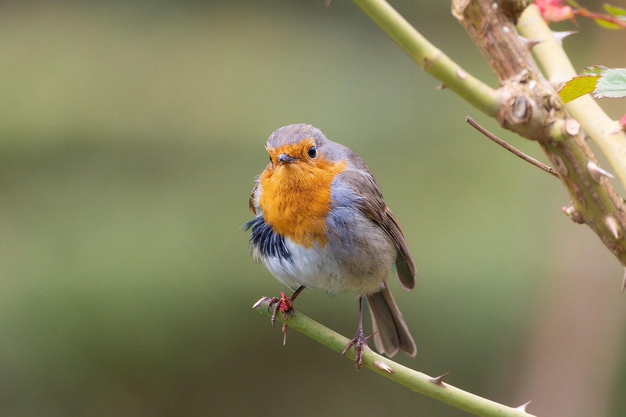 아침에 우유를 마시는 4가지 이점 알아보기 2 우유는 왜 아침에 마시면 좋을까 키워드 우유 아침