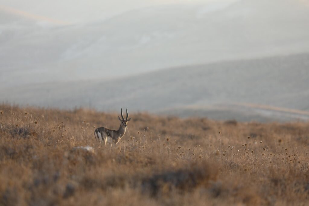 음식 익힘의 비밀을 살펴보자