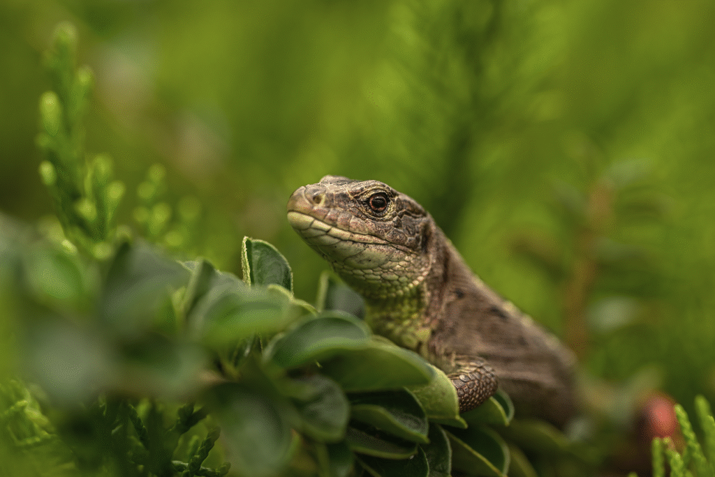 청소동기부여가 안 될 때 꺼내보는 영상