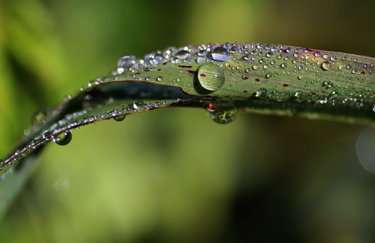 칼날 무뎌졌을 때 쉽게 갈기 2 칼날 무뎌졌을 때 쉽게 갈기