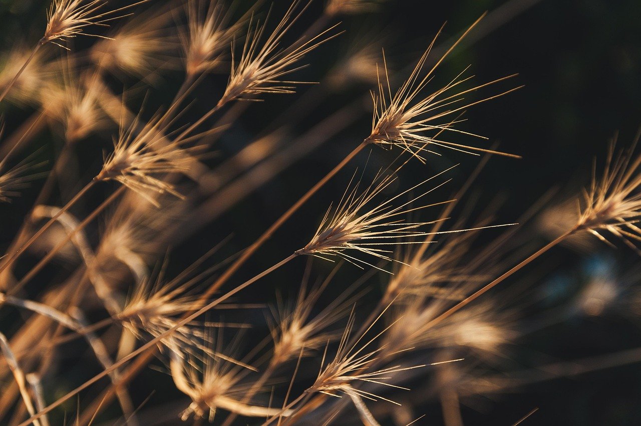 칼날 보관 방법 총정리, 안전과 위생 동시에! 2 칼날 보관 방법 총정리 안전과 위생 동시에