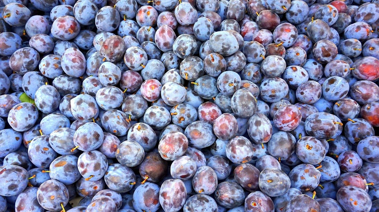 커튼 주름 예쁘게 잡는 정리법 2 커튼 주름 예쁘게 잡는 정리법