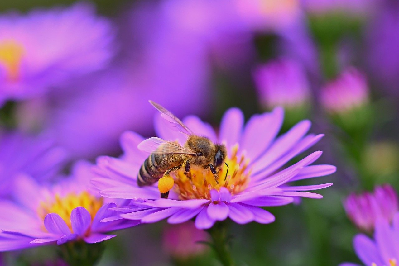 퇴비가 환경에 미치는 긍정적인 영향 살펴보기 2 퇴비는 왜 환경에 좋을까 키워드 퇴비 환경