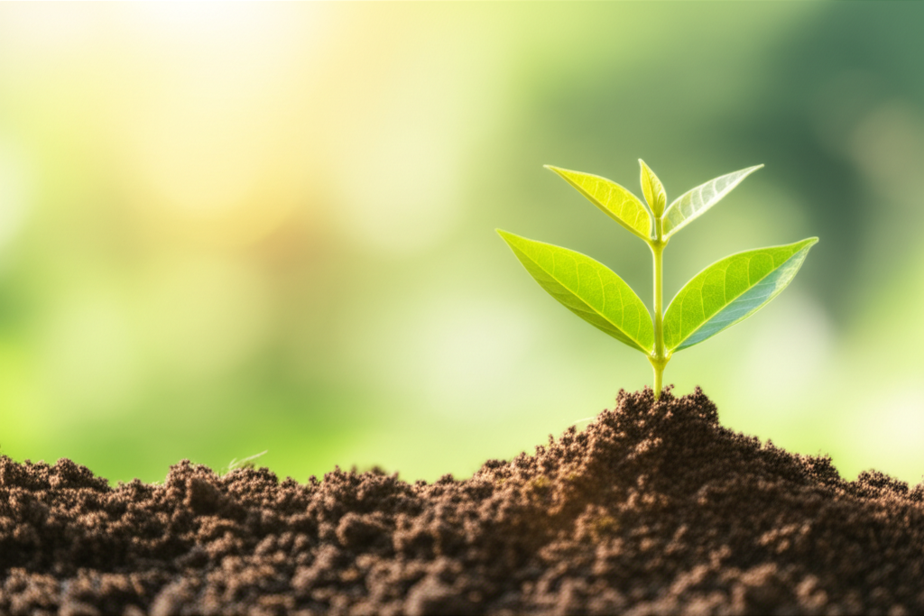 연봉 4000만원 실수령액 계산: 2026년 세전 세후, 4대보험, 소득세 완벽 분석 29 세후 차이 50만원, 10년 투자하면 얼마가 될까? 현명한 재테크 전략