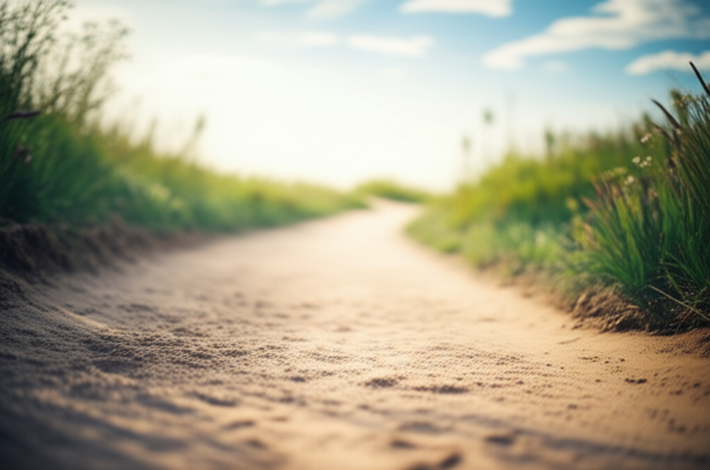 투자의 숨은 보석, 배당주 파헤치기: 초보 투자자를 위한 완벽 가이드 24 결론