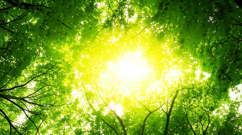 대한민국 대통령 부동산 정책: 주거 안정과 시장 균형을 향한 심층 분석 70 긍정적 영향