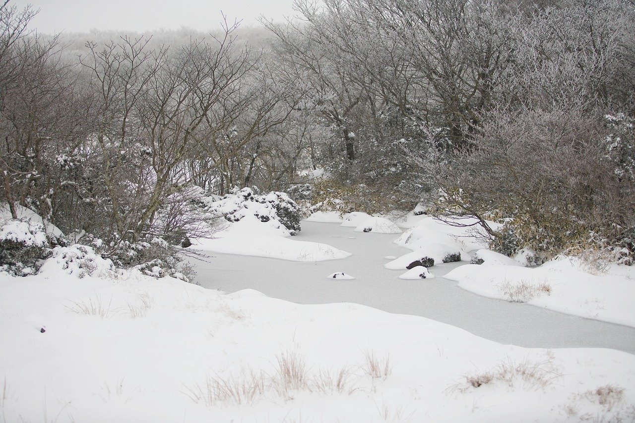 환상의 겨울 스포츠 축제: 2026 동계 올림픽 미리 보기 80 섹션 2 이미지