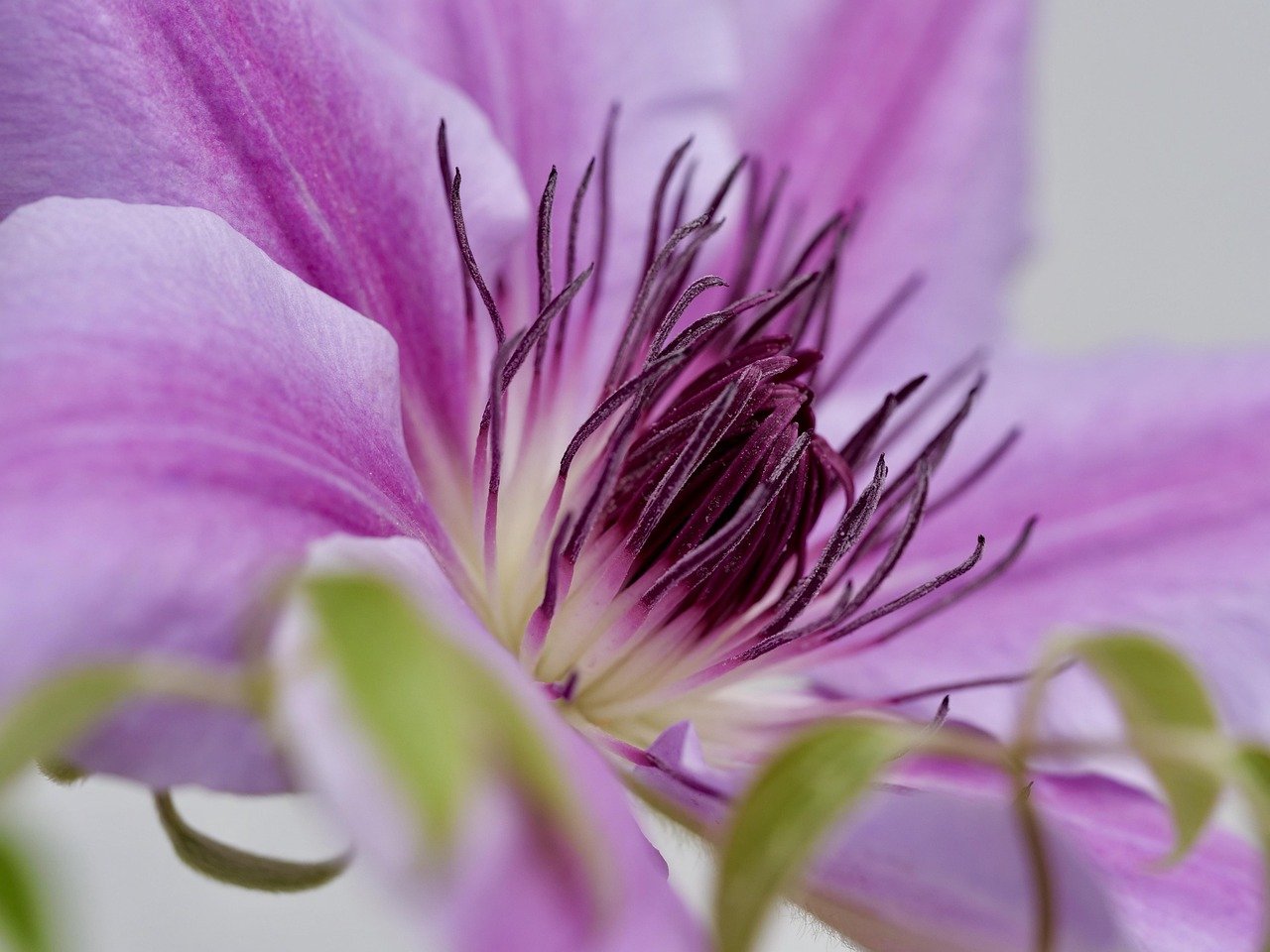 하늘을 넘어선 경험: 제주에어와 함께하는 스마트한 여행 가이드 34 섹션 1 이미지