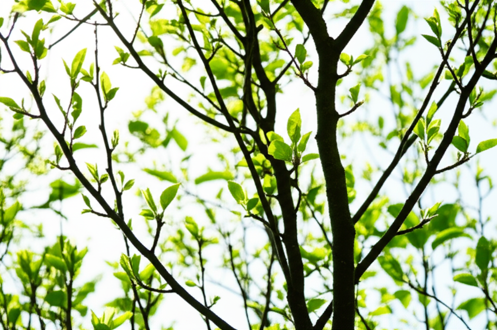 금투세 폐지 이후 2026년 주식 세금 이렇게 바뀐다: 국내 주식 절세 방법 핵심만 20 배당소득세 변화와 절세 방안