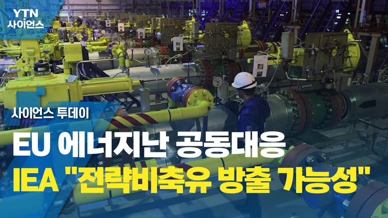 4억 배럴 풀린다! IEA 역대 최대 전략비축유 방출, 기름값 폭락하나? 18 섹션 1 이미지