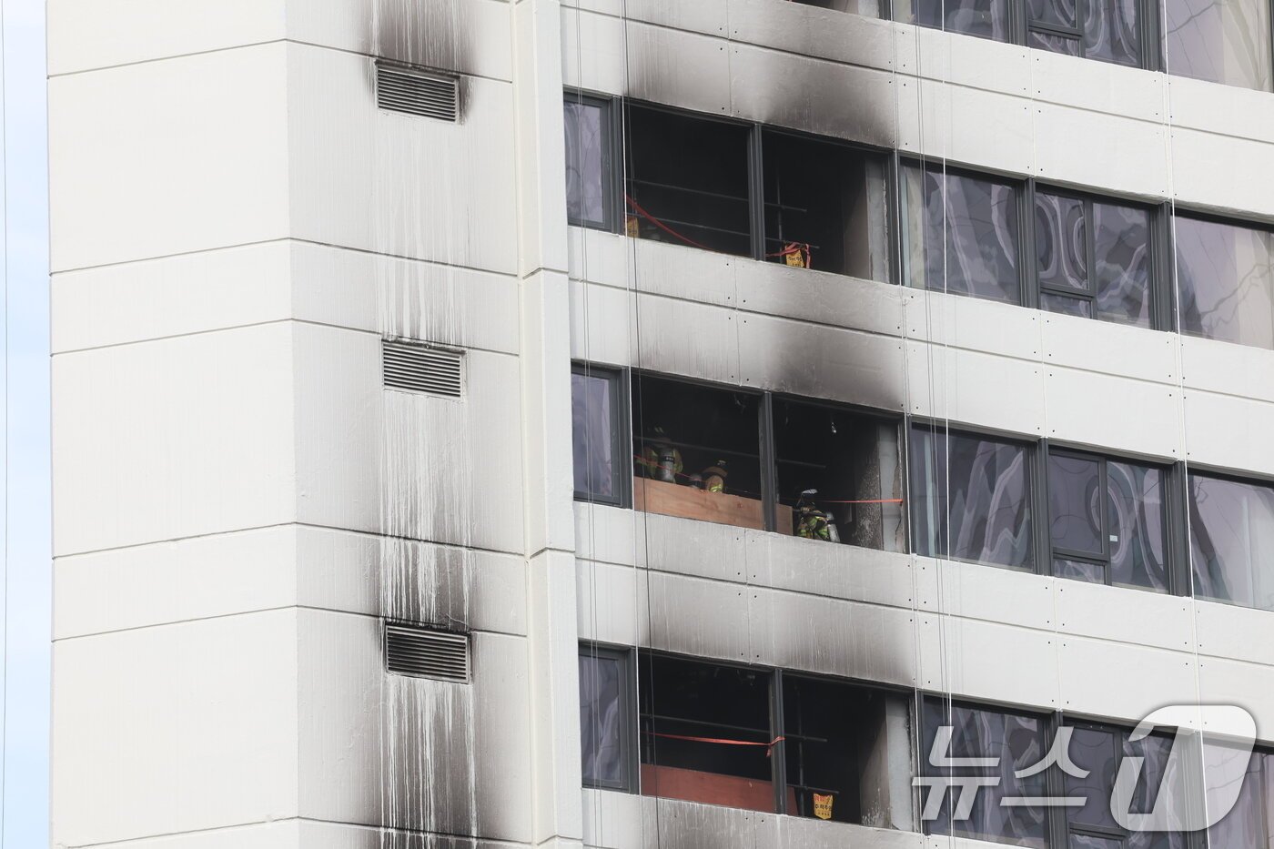 소공동 캡슐호텔 화재: 도심 속 '벌집' 안전, 이대로 괜찮은가? 9 섹션 1 이미지