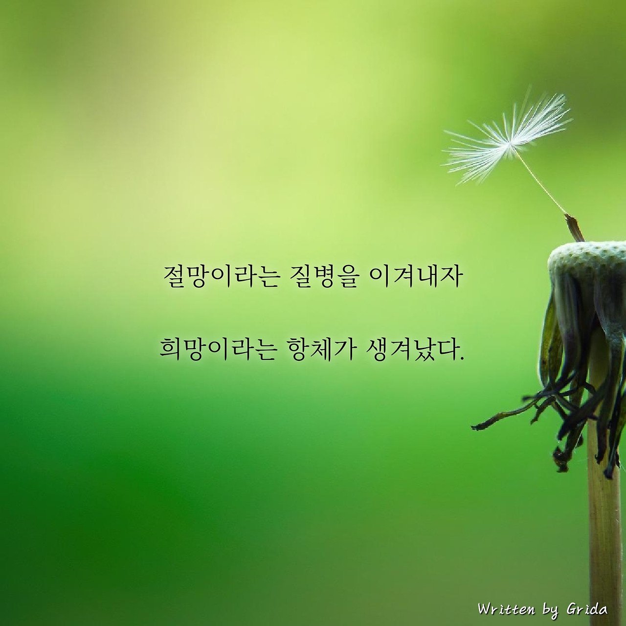 대통령도 극찬한 희망의 아이콘: 노경은 선수의 불굴의 투혼과 미래를 향한 메시지 11 섹션 1 이미지