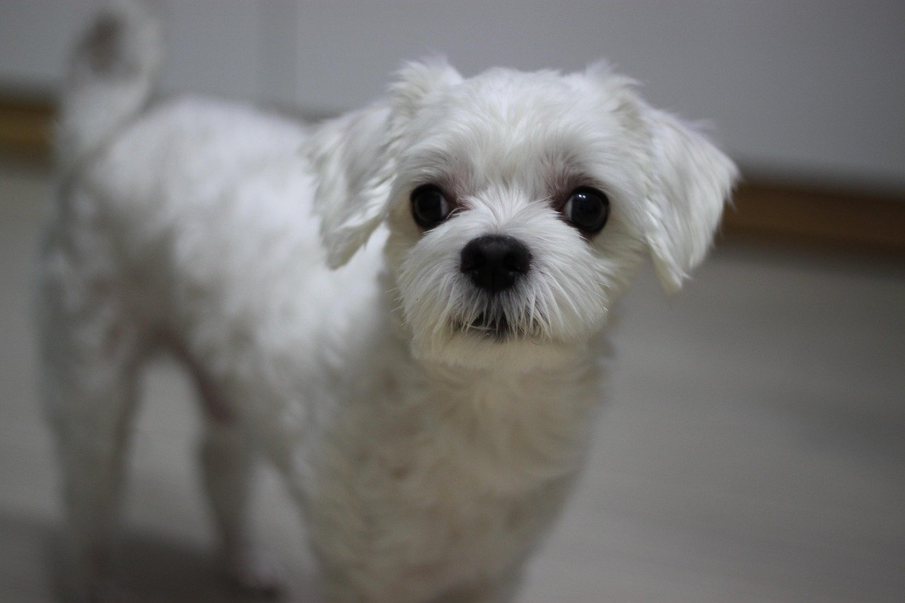 김영환 충북지사 컷오프 반발: 국민의힘 '혁신 공천' 파열음의 서막 16 섹션 2 이미지
