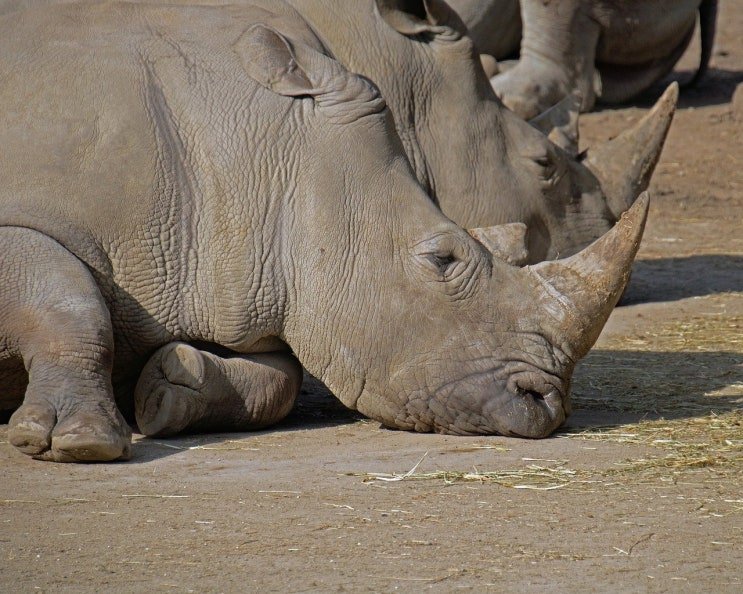 이른 아침 주식거래 시대, 잠시 멈춤: 한국 증시 '아침 7시 주식거래' 9월로 연기 13 섹션 2 이미지