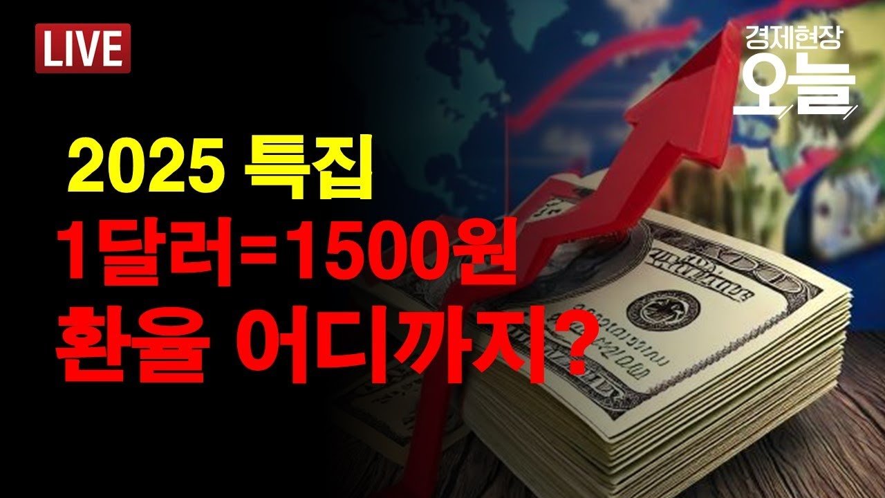 환율 1500원 시대 개막, 지금 당장 개인이 해야 할 현명한 대응 전략 9 섹션 1 이미지