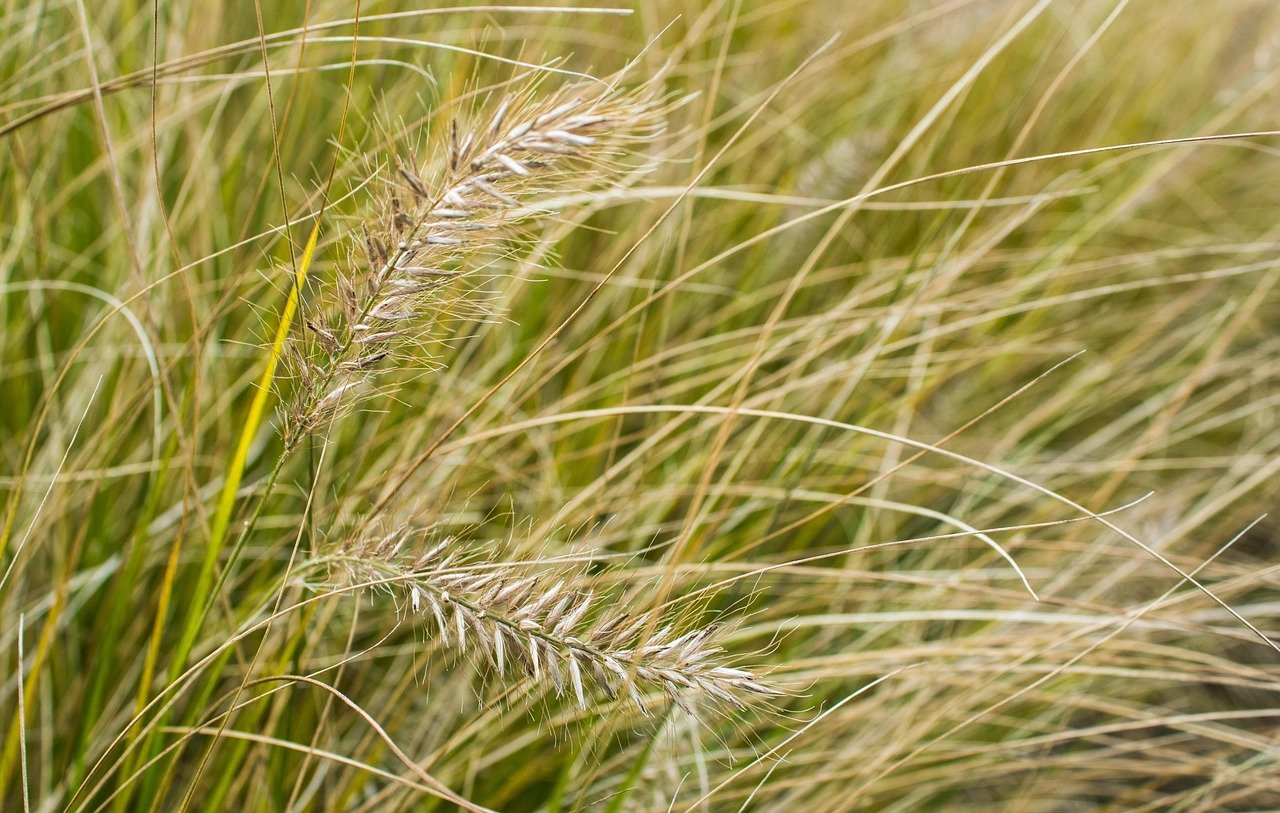 토스뱅크 환전 사태: 7분간의 혼란, 그리고 피해 고객 1만 원 지급의 전말 10 섹션 1 이미지