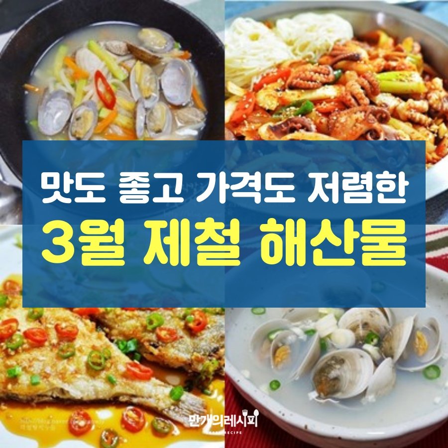 지금이 딱! 2026년 3월, 놓치면 후회할 봄 제철 해산물 맛집 BEST 탐방기 8 섹션 1 이미지