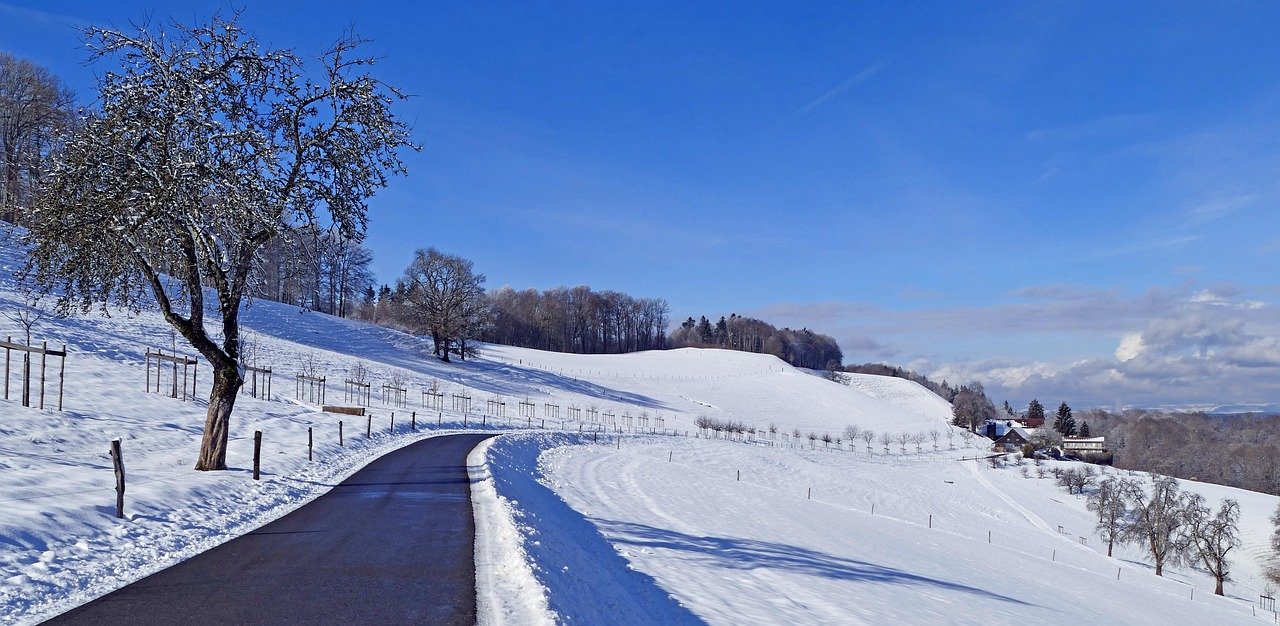 2026년 금융 소비자 보호 대폭 강화! 꼭 알아야 할 새로운 금융제도 7가지 총정리 (은행, 주식, 대출) 5 섹션 1 이미지