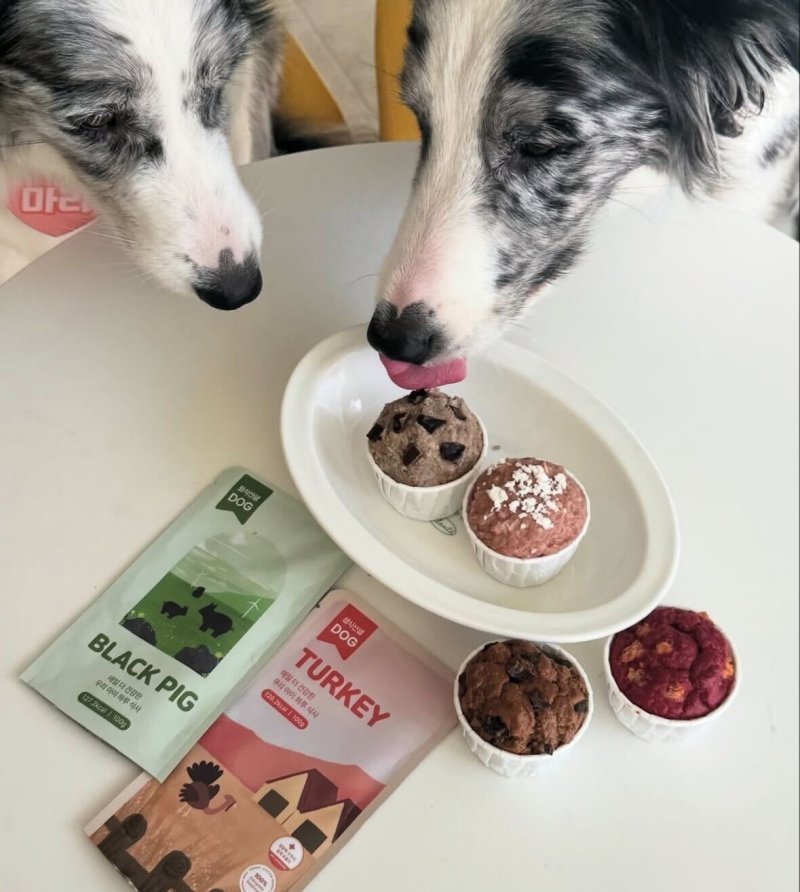 2026년 3월 20일, 우리 댕냥이 건강 UP! 최신 반려동물 맞춤형 수제 간식 레시피 & 구매처 8 섹션 1 이미지