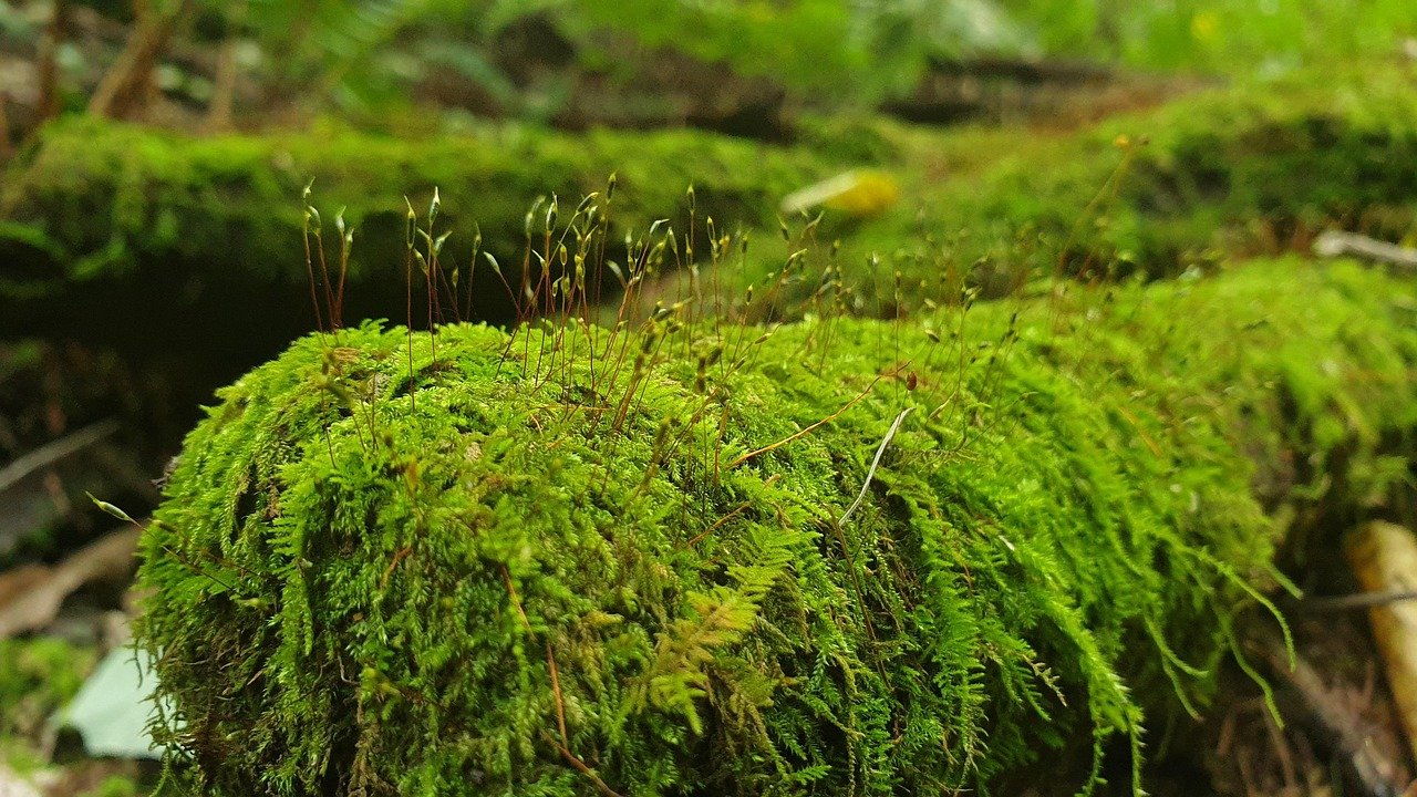 AI 시대, 소상공인 생존 전략 2026: 정부 디지털 전환 지원책 총정리 10 섹션 1 이미지