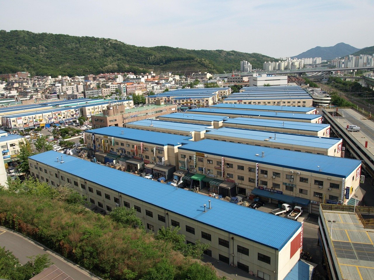 2026년 3월 22일, 오늘 떠나기 좋은 서울 근교 개나리 명소 BEST 5! 제가 직접 가보니... 9 섹션 1 이미지