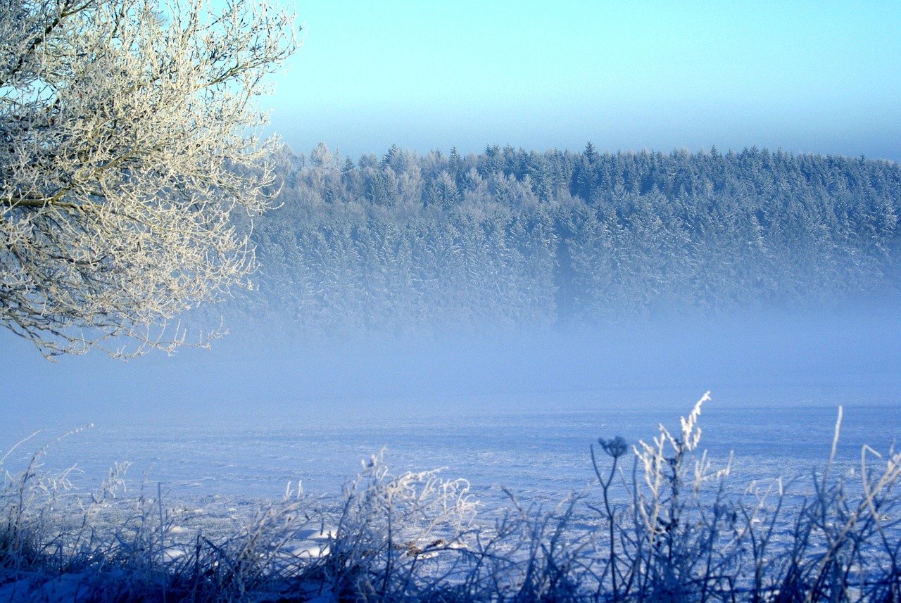 5가지 이유! ISA 자금, 오늘부터 ETF로 '묻지마 투자' 해야 하는 솔직 후기 12 섹션 1 이미지