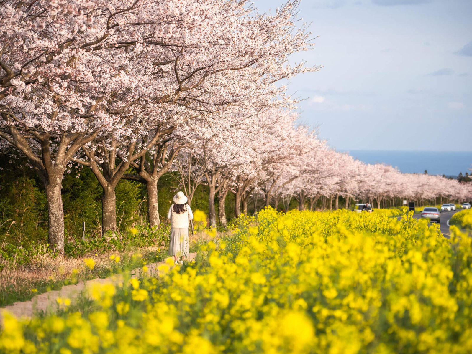 2026년 3월 제주도 봄 여행: 찐 후기! 2박 3일 알짜 코스, 이거 모르면 후회한다? 13 섹션 2 이미지