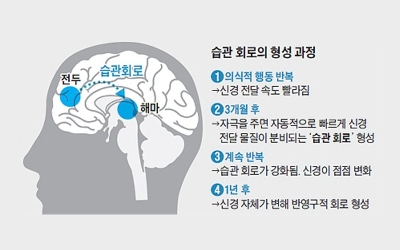 2026년 필사로 다지는 마음 습관 만들기, 제가 직접 해보니 3가지 놀라운 변화를 경험했습니다! 13 섹션 2 이미지
