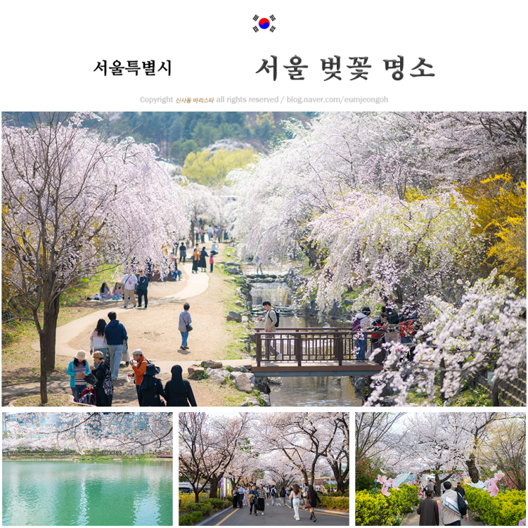 2026년 서울 경기 벚꽃 명소 완벽 가이드: 개화부터 절정까지, 제가 직접 경험하고 추천하는 5가지 비밀 팁! 11 섹션 1 이미지