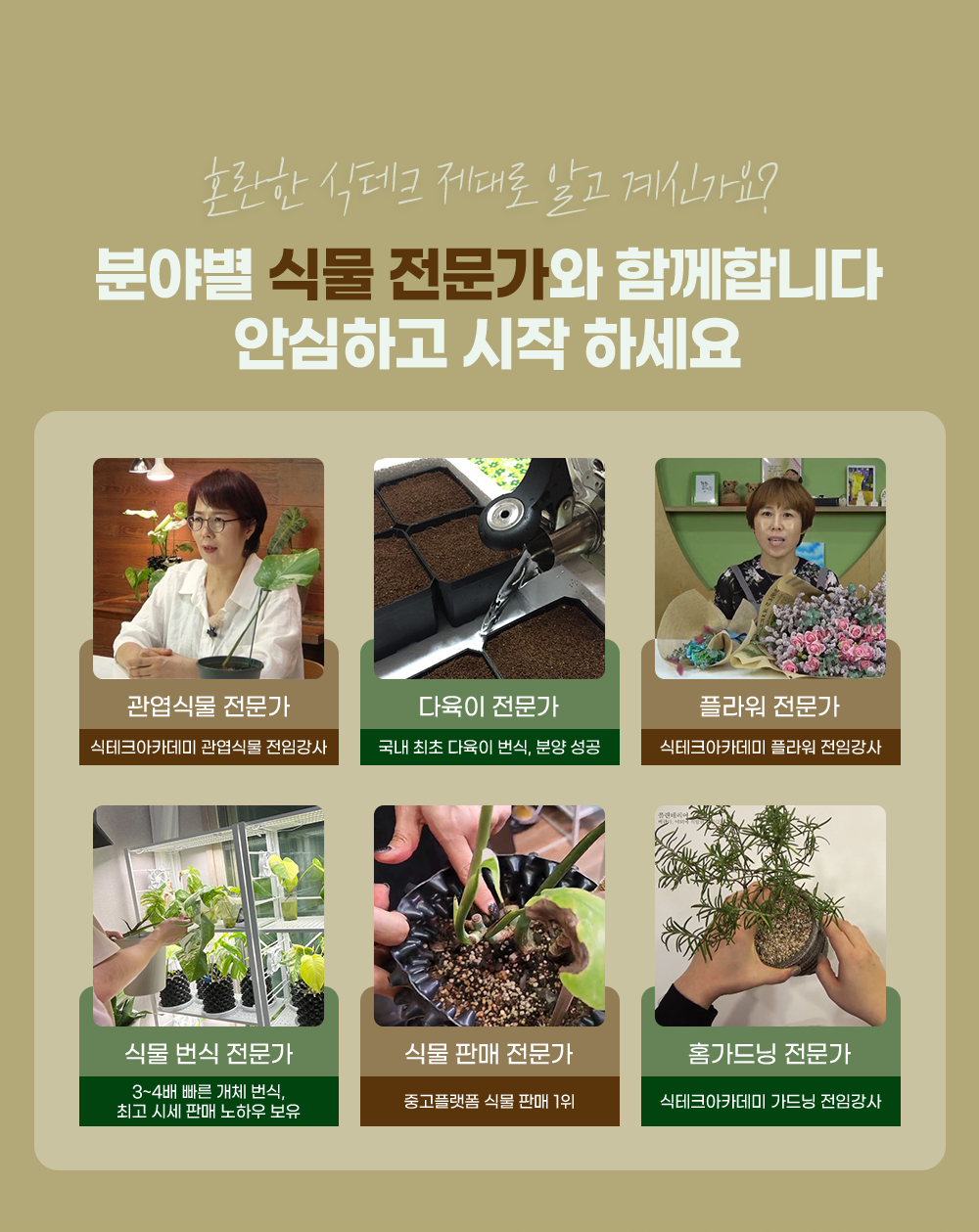 식테크, 5가지 경험으로 밝힌 2026년 월 50만원 부수입 버는 현실적인 방법! 11 섹션 1 이미지