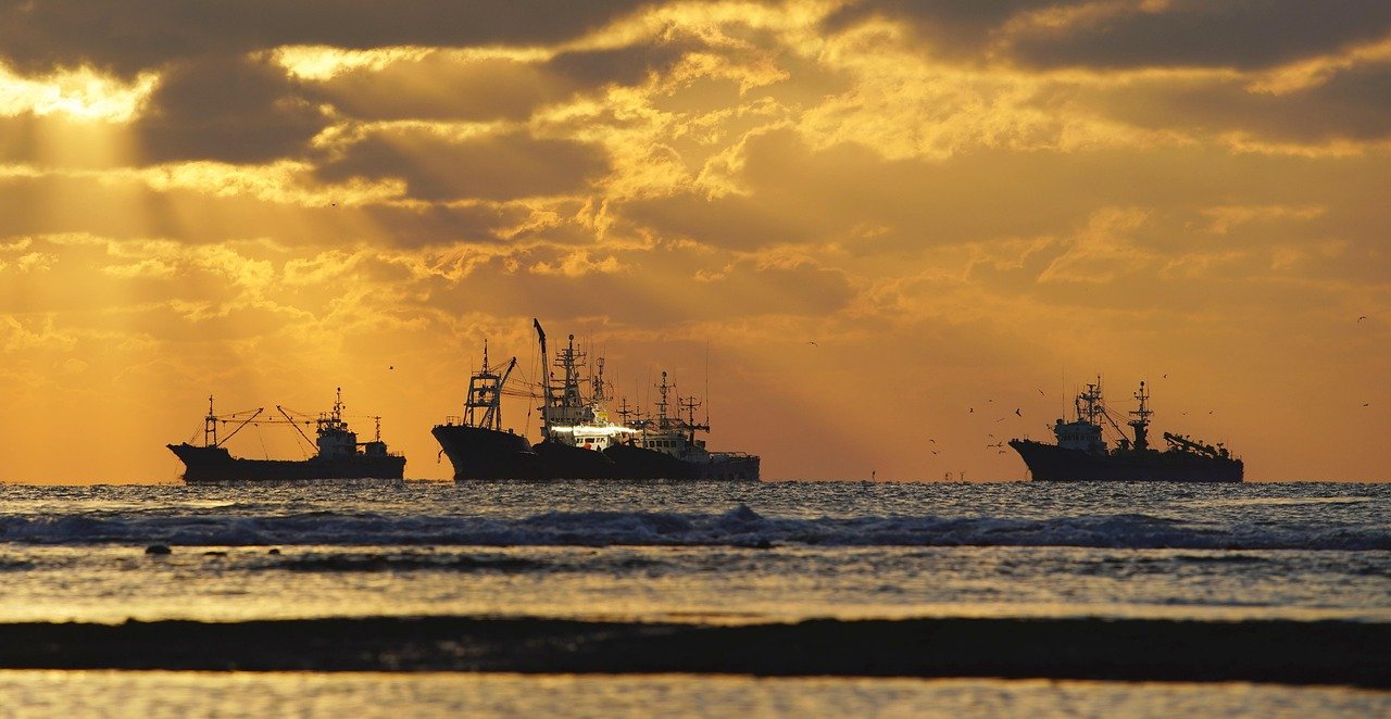 필코노미, 2026년 감성이 돈이 되는 시대! 기업과 소비자가 주목해야 할 7가지 솔직한 전략 10 섹션 1 이미지