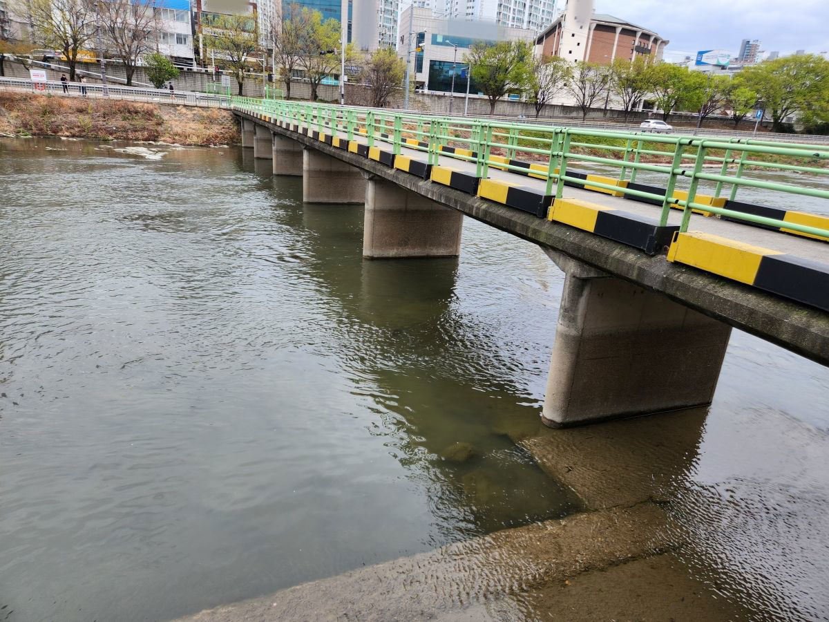 “신천에서 발견된 캐리어 속 시신, 20대 딸과 사위가 바로 범인” 8 섹션 1 이미지