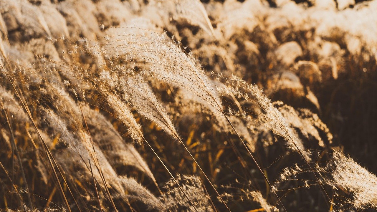 이진숙 대구시장 무소속 출마 선언: 국민의힘 '자폭 결정' 반발, 보수 텃밭 대구의 운명은? 12 섹션 1 이미지