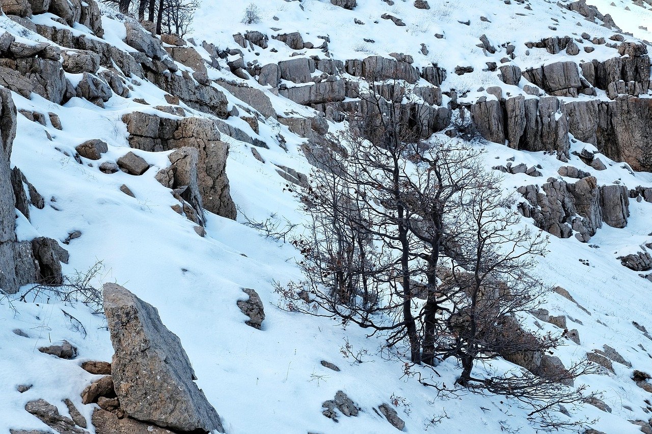 트럼프의 경고, 2주 휴전 그리고 중동 전쟁 분수령: 2026년 4월 8일의 기록 7 섹션 1 이미지