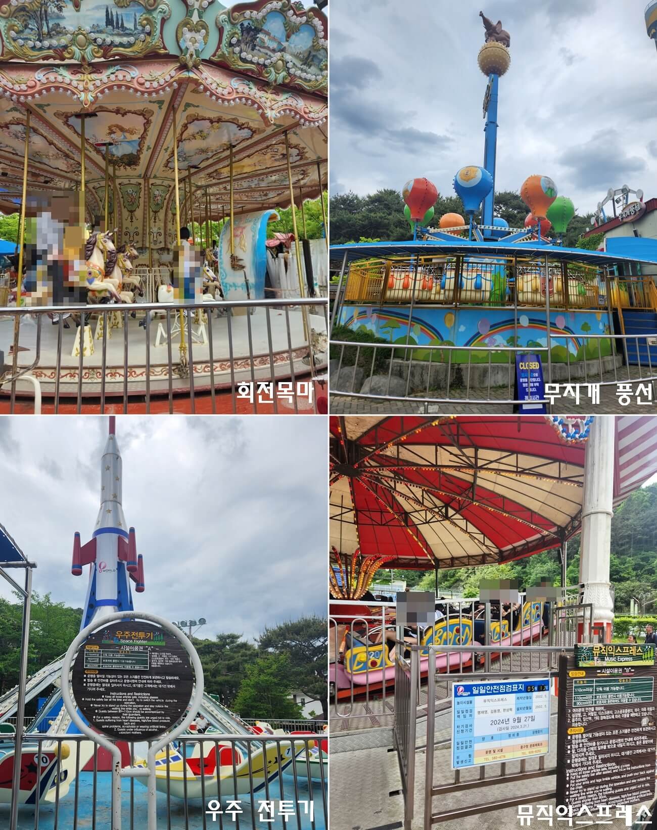 대전 오월드 늑대 '늑구' 탈출 4일째, 그는 지금 어디에? 생포를 향한 간절한 염원 8 섹션 1 이미지