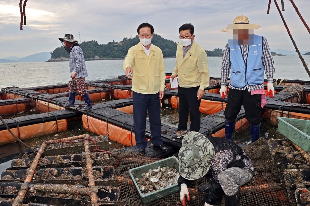 충격! 고흥 굴 양식장 임금 착취, '코리안 드림'을 앗아간 현대판 노예 실태를 파헤치다 10 섹션 2 이미지