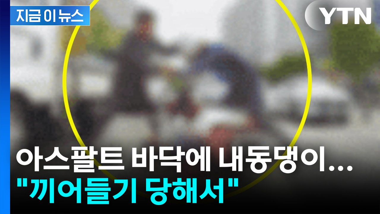 도로 위 분노가 낳은 비극: '우장산역 집배원 폭행' 사건, 우리에게 던지는 메시지 8 섹션 2 이미지