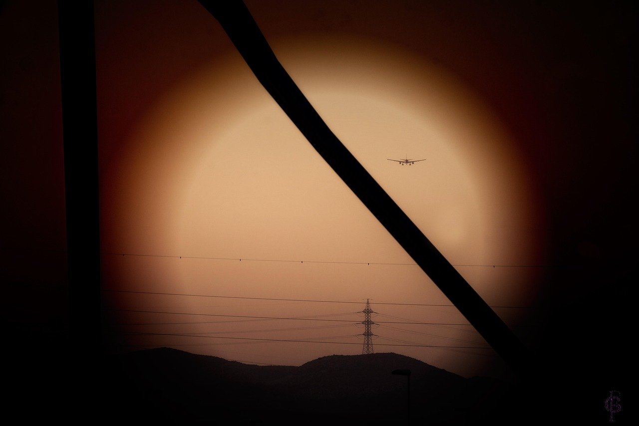 "구더기 닦아내도 계속 나왔다" — 부사관 아내 방치 '부작위 살인' 사건, 우리 사회의 비극 9 섹션 1 이미지