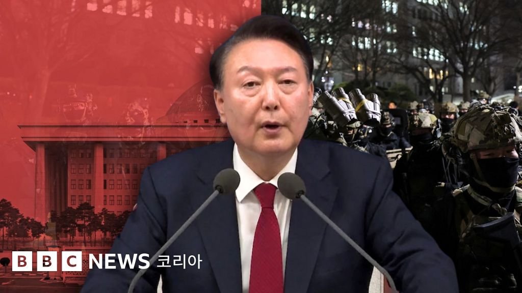 윤석열 전 대통령 2심 징역 7년: 흔들린 법치주의와 대한민국의 미래 11 섹션 2 이미지