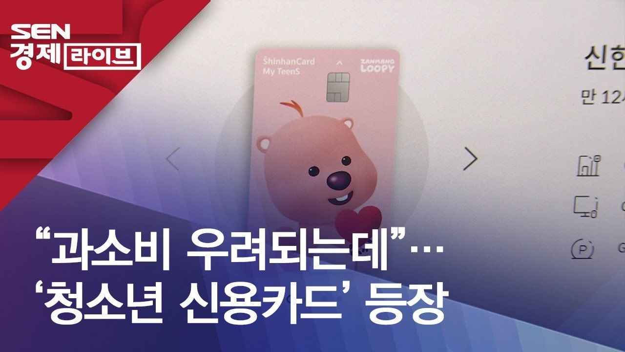 엄카 말고 '내 카드' 시대! 2026년 청소년 신용카드 발급, 득과 실 자세히 알아보기 10 섹션 1 이미지