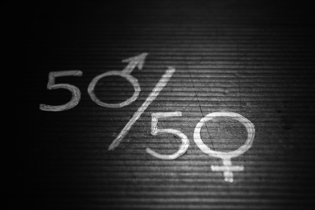 비례대표 의석 배분 3% 기준, 사전투표부터 결선투표 없는 이유까지 완벽 정리! 12 섹션 1 이미지